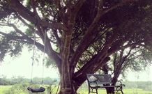 Kabana Luxury Accommodation - Melbourne Tourism 3