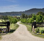 Pemberley Grange Hunter Valley Getaway