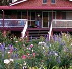 Rose Patch Bed and Breakfast - Melbourne Tourism