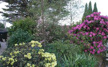 Silvermere Guesthouse - - Melbourne Tourism 1