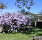 Studio Cottages Romantic Hideaway