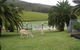 Sunny Hill Retreat Accommodation And Day Spa - - thumb 6
