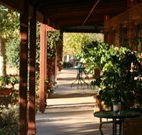 The Vineyard Motel - Melbourne Tourism