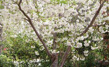 Valley Of The Waters Bed And Breakfast - Melbourne Tourism 7