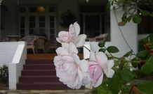 White House Heritage Guesthouse - Melbourne Tourism 0