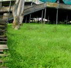 Snowy Valley Resort - Melbourne Tourism