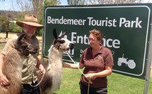 Berrara NSW Melbourne Tourism