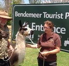 Berrara Beach Holiday Chalets - Melbourne Tourism