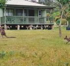 Bewong River Retreat - Melbourne Tourism