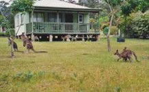 Bewong River Retreat - Melbourne Tourism 0