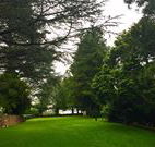 Brigalow Cottage - Melbourne Tourism
