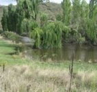 Cedar Grove - Melbourne Tourism
