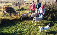 Delightful Home - Melbourne Tourism 1