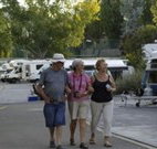 Ducks Crossing - Melbourne Tourism