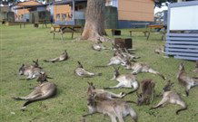 Ecoasis - Melbourne Tourism 4