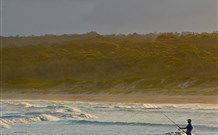 Ecoasis - Melbourne Tourism 8