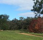 Mulberry Cottage - Melbourne Tourism