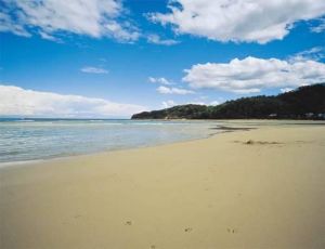 Jervis Bay NSW Melbourne Tourism