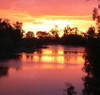 Roches Family Hotel - Melbourne Tourism