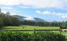 Sea Spray - Melbourne Tourism 4