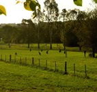 Stone Cottage Mittagong - Melbourne Tourism