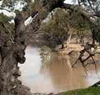 Valley View Cottage Hunter Valley - Melbourne Tourism