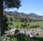 Woolshed Hill Estate - Melbourne Tourism