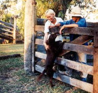 Minmore Farmstay Bed and Breakfast - Melbourne Tourism