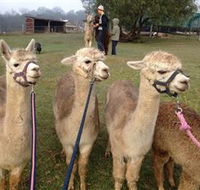 Bunyip Springs Farmstay - Melbourne Tourism