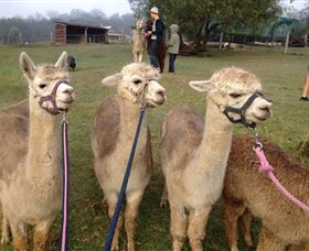 Bunyip Springs Farmstay - Melbourne Tourism 0