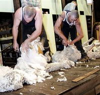 The Woolshed at Jondaryan Caravan and Camping - Melbourne Tourism