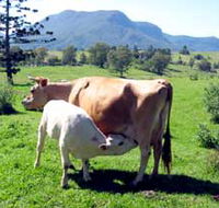 Cedar Glen Farmstay - Melbourne Tourism