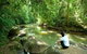 The Canopy Rainforest Tree Houses And Wildlife Sanctuary - thumb 0