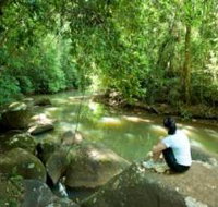 The Canopy Rainforest Tree Houses and Wildlife Sanctuary - Melbourne Tourism