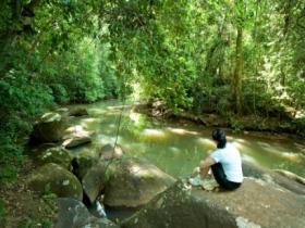 The Canopy Rainforest Tree Houses And Wildlife Sanctuary - Melbourne Tourism 0