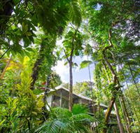 Daintree Eco Lodge and Spa - Melbourne Tourism