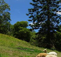 Wattle Gully Retreat - Melbourne Tourism