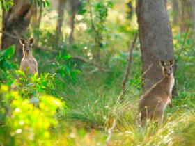 Beach Road Holiday Homes - Melbourne Tourism 3