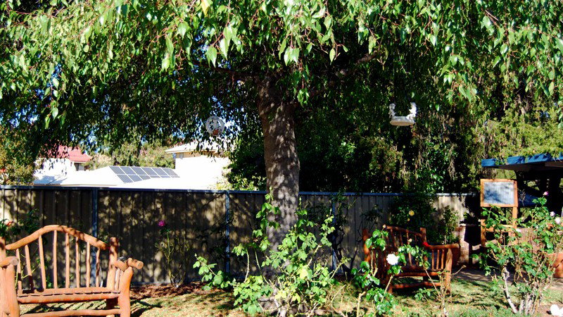 Mudgee NSW Melbourne Tourism