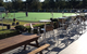 Tea Gardens Country Club & Motel - thumb 13