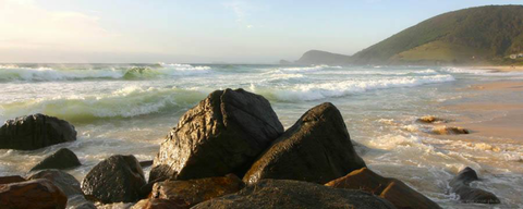 Pacific Palms Signature Properties - Melbourne Tourism 18