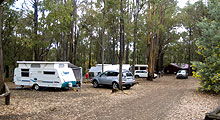 Lake Navarino Holiday Park - Melbourne Tourism 3