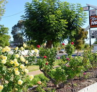 Narrogin Motel - Melbourne Tourism