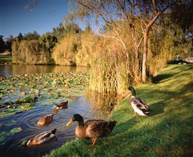 Country Club Tasmania - Melbourne Tourism 5