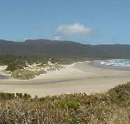 Cloudy Bay Cabin - Melbourne Tourism