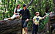 Tahune Airwalk Lodge - thumb 0