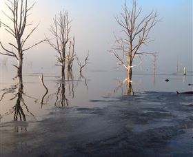 Arthurs Lake TAS Melbourne Tourism