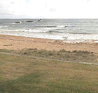 Penguin Caravan Park - Melbourne Tourism