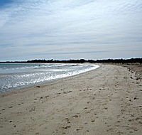 Greens Beach Caravan Park - Melbourne Tourism