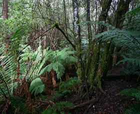 Silver Ridge Retreat - Melbourne Tourism 4